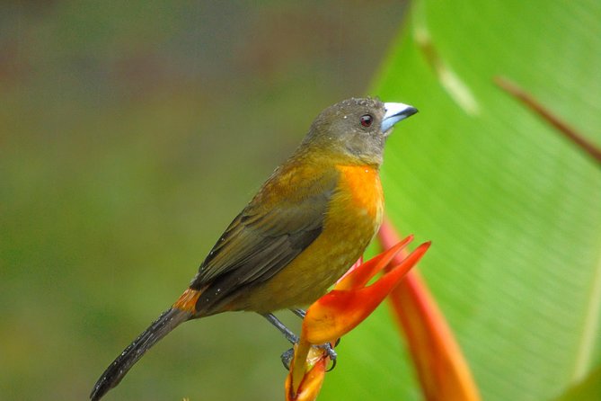 Bird Watching Tour - Location Details