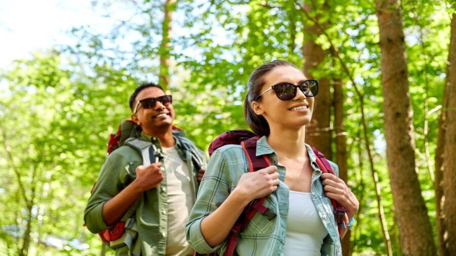 Blue Ridge Parkway (South): Driving Tour With Audio Guide - Tour Overview