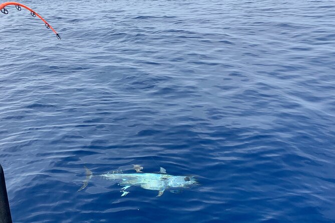 Bluefin Tuna Fishing Charter in the Egadi Islands