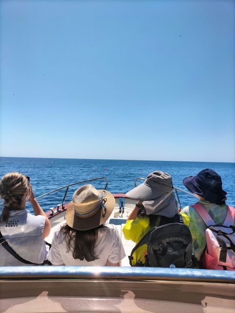 Boat Trip From Castro to Malepasso