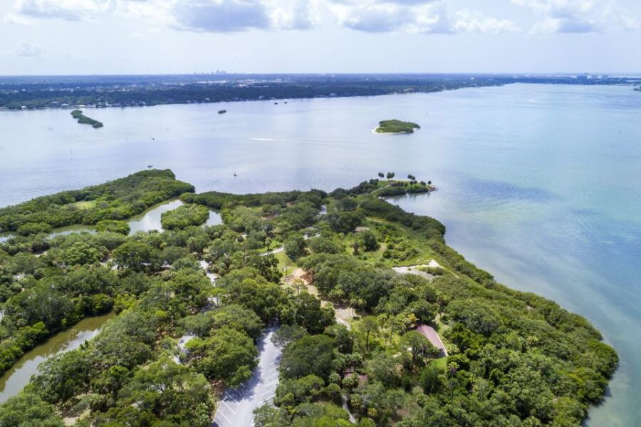 Boca Ciega Bay Island Kayak Tour