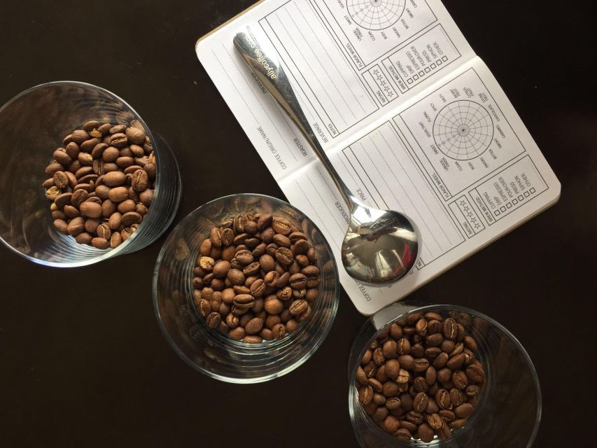 Bogotá: Coffee Competition Experience