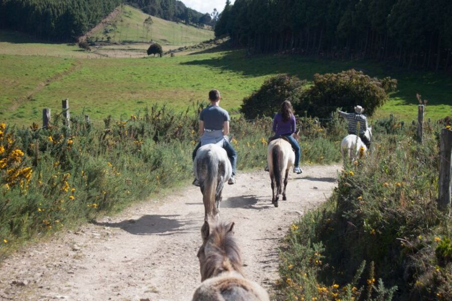 Bogota: Horseback Riding Tour - Good To Know