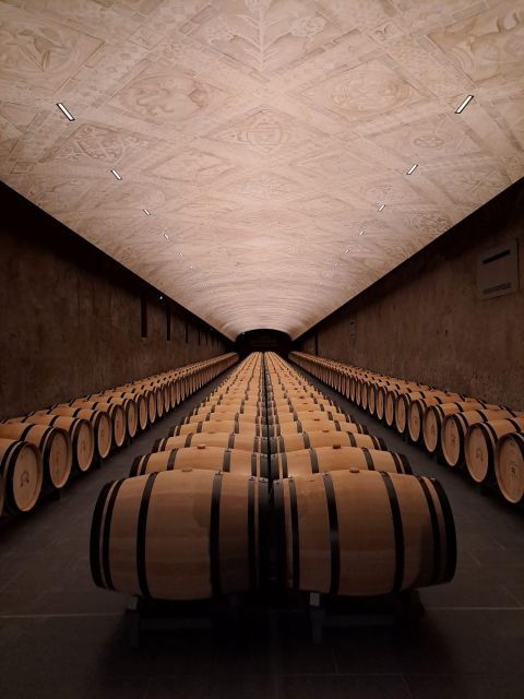 Bordeaux Vineyards Tours