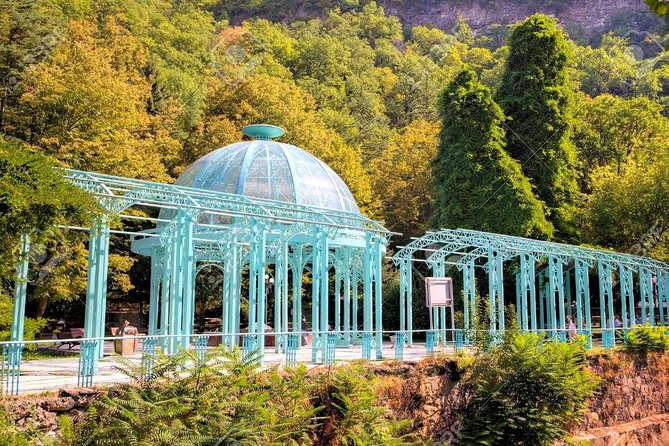 Borjomi National Park Full Day Private Tour From Tbilisi - Tour Highlights