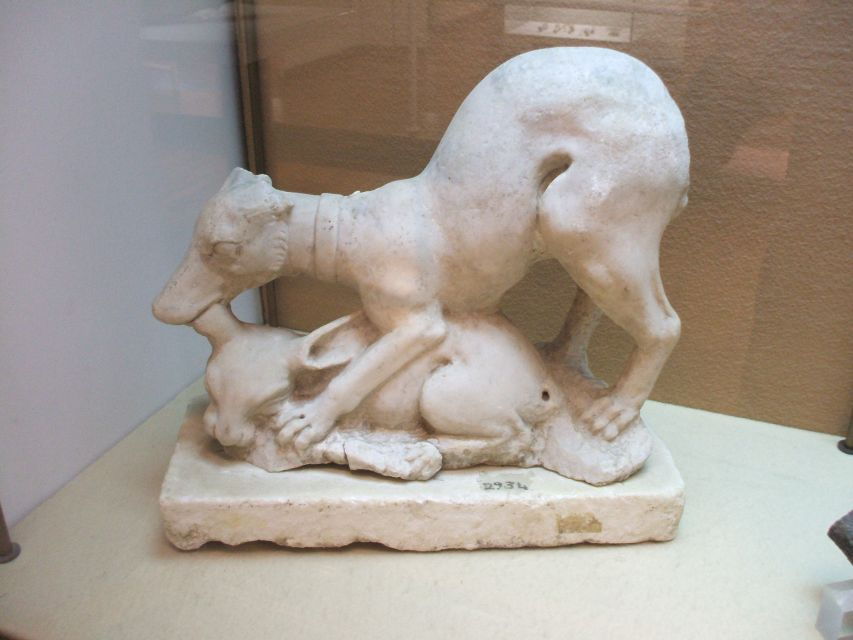 Boscoreale: Antiquarium & Villa Regina Private Tour