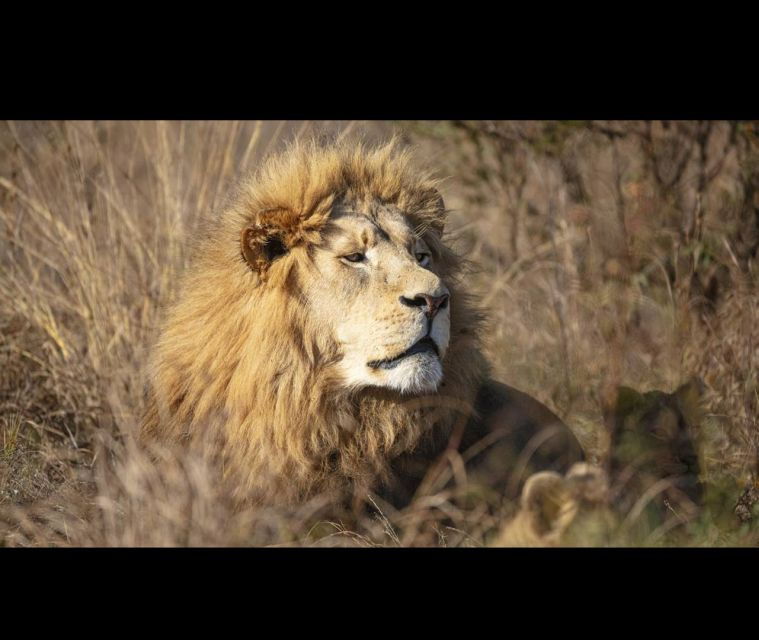 Bothongo Rhino and Lion Nature Reserve Self Drive