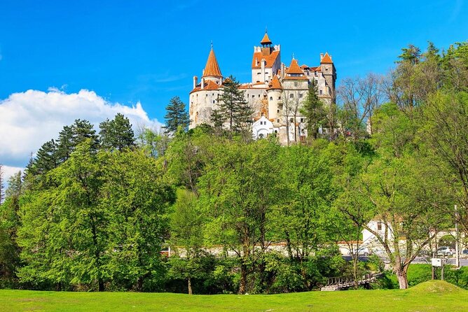 Bran (Dracula) Castle, Bear Sanctuary, Rasnov Fortress & Palinca Distillery