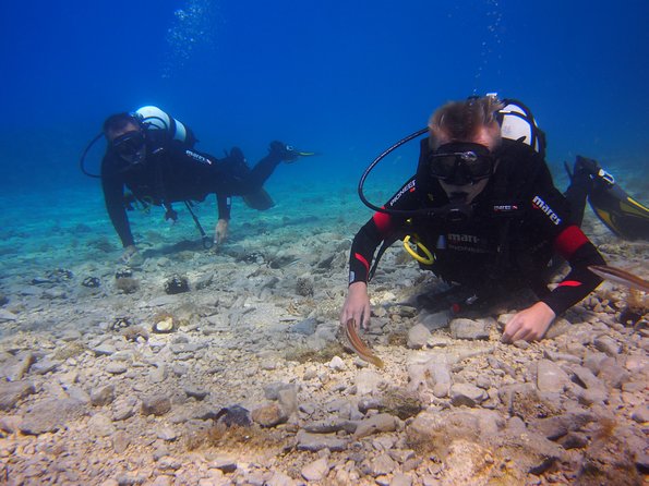 BRELA Bikini Dive Try SCUBA DIVING
