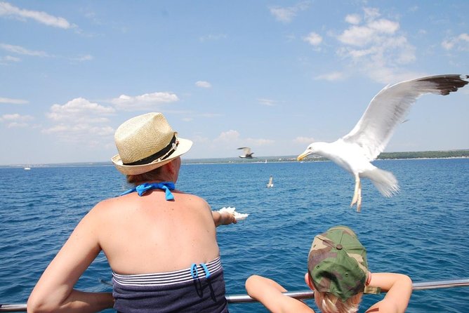 Brijuni National Park Boat Excursion From Pula. With a Visit to the Island