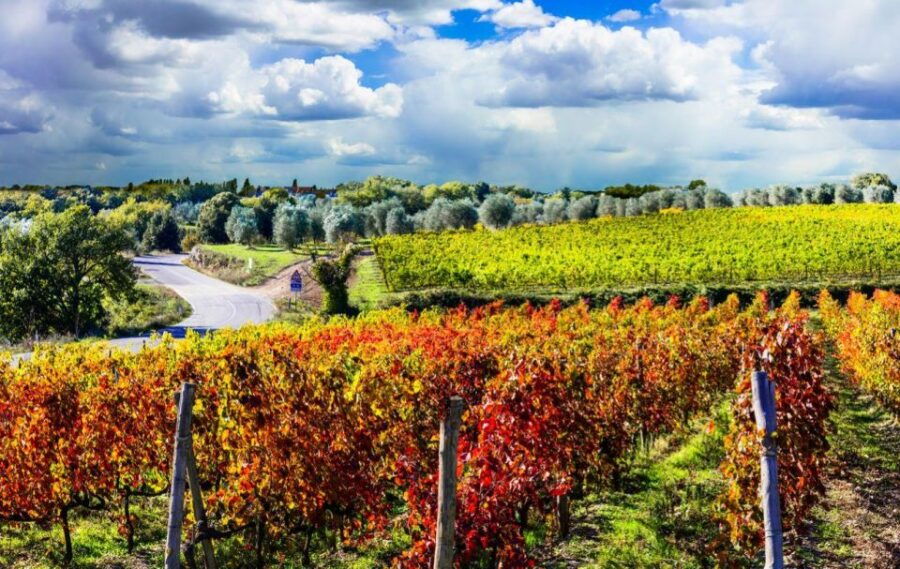 Brunello and Montepulciano Wine Tour - Private Experience - Good To Know