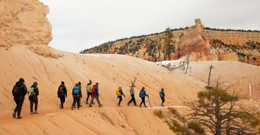 Bryce Canyon: Full-Day Private Tour & Hike - Experience Highlights
