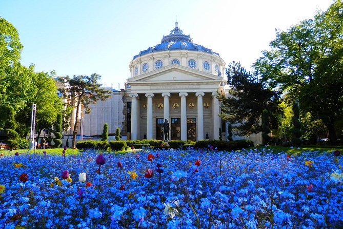 Bucharest Layover Tour (6 - Hour Private City Tour Between Flights) - Good To Know