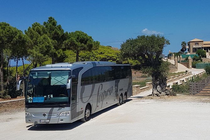 Bus / Coach Excursion