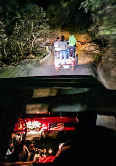 Calarca: Night Walk in the Mountains From Salento - Good To Know