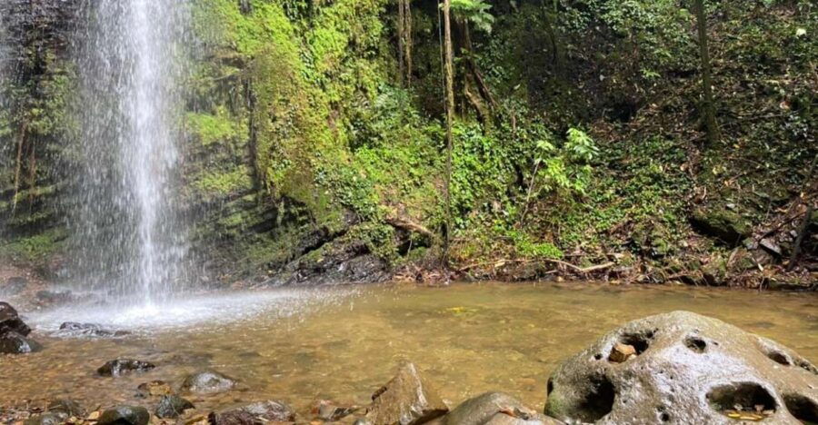 Cali: National Park Waterfalls Tour With Lunch & Transfer - Good To Know