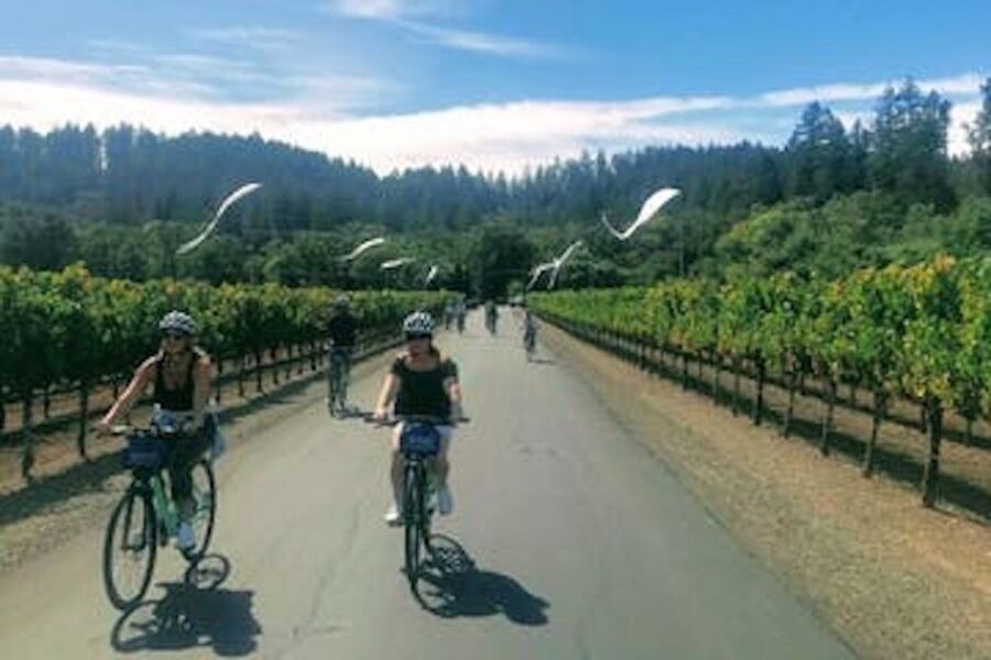 Calistoga: Napa Valley Cycling and Winery Tour With Picnic