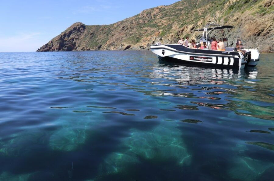 Calvi: Scandola and Piana Guided Boat Tour - Activity Highlights