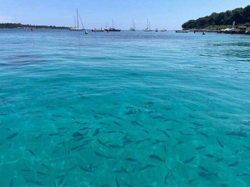 Cannes: Boat Trip Without a License to the Lerins Islands