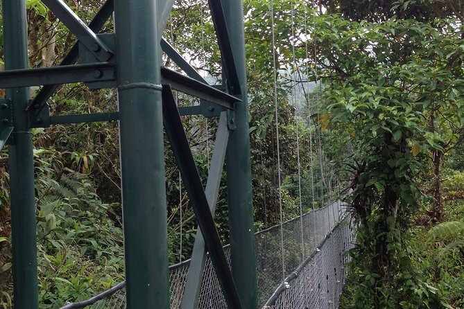 Canopy Tour in the Fabulous Hanging Bridges From San José