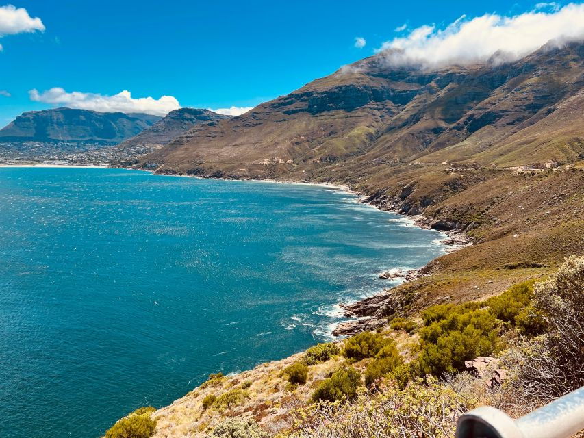 Cape Of Good Hope, Penguins, Chapmans Peak Drive, Seals Tour