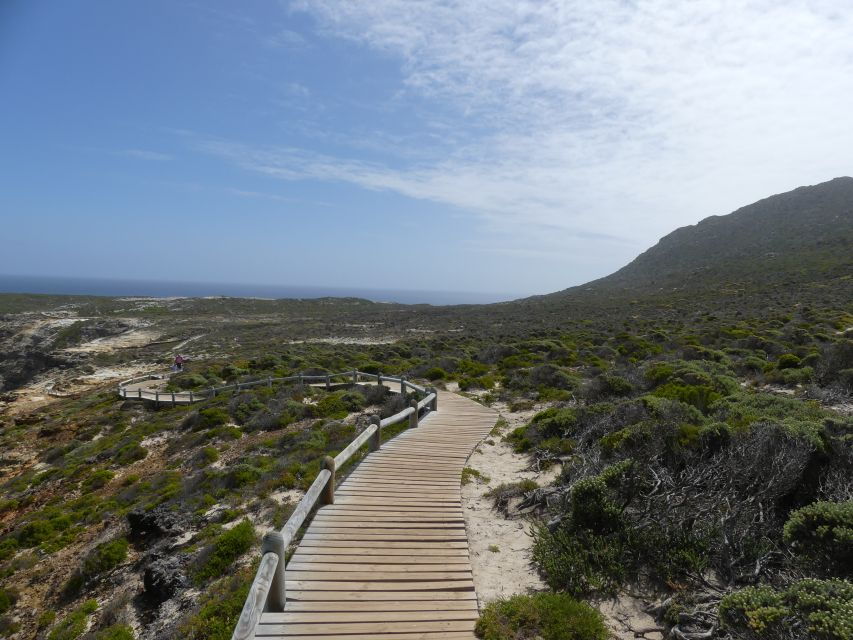 Cape Peninsula and Penguin Colony Full Day Shared Tour