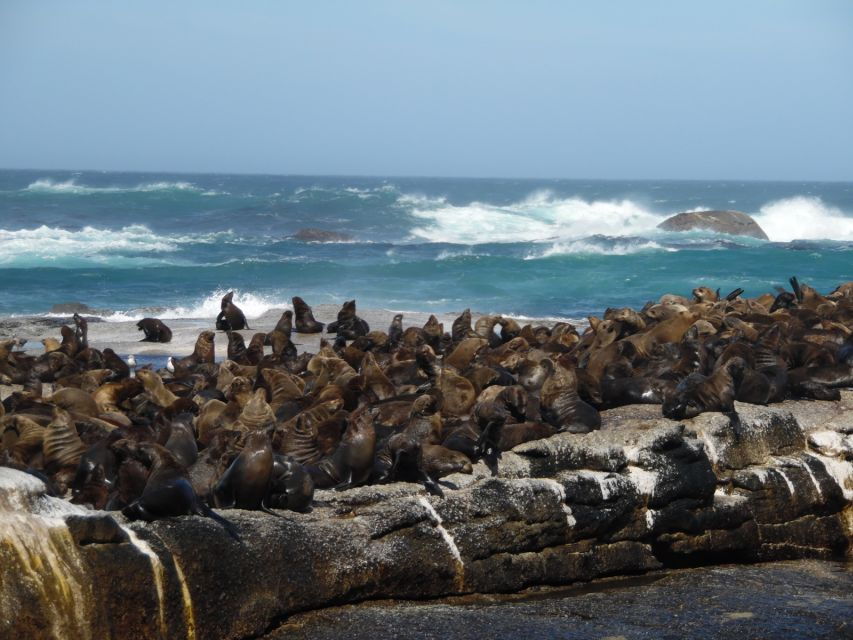 Cape Peninsula Full-Day Tour From Cape Town
