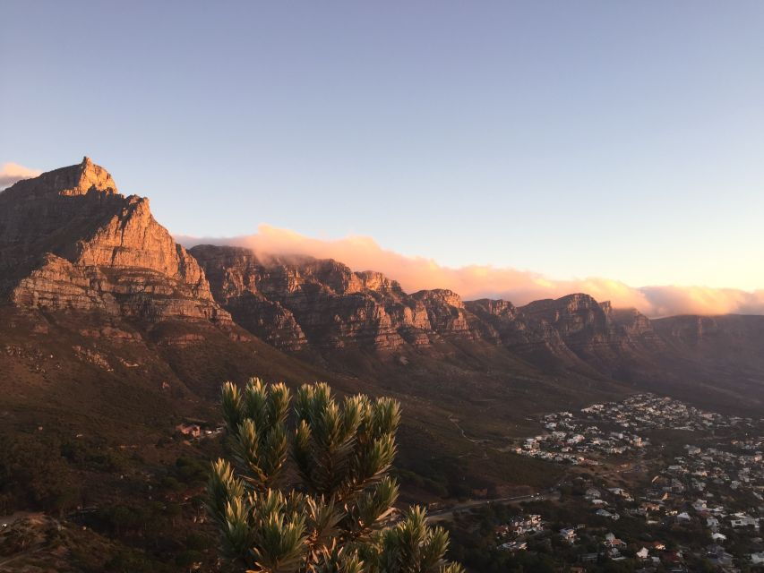 Cape Peninsula Shared Half-Day Tour
