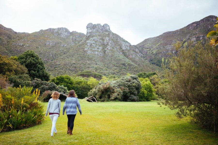 Cape Point Full-Day Tour From Cape Town