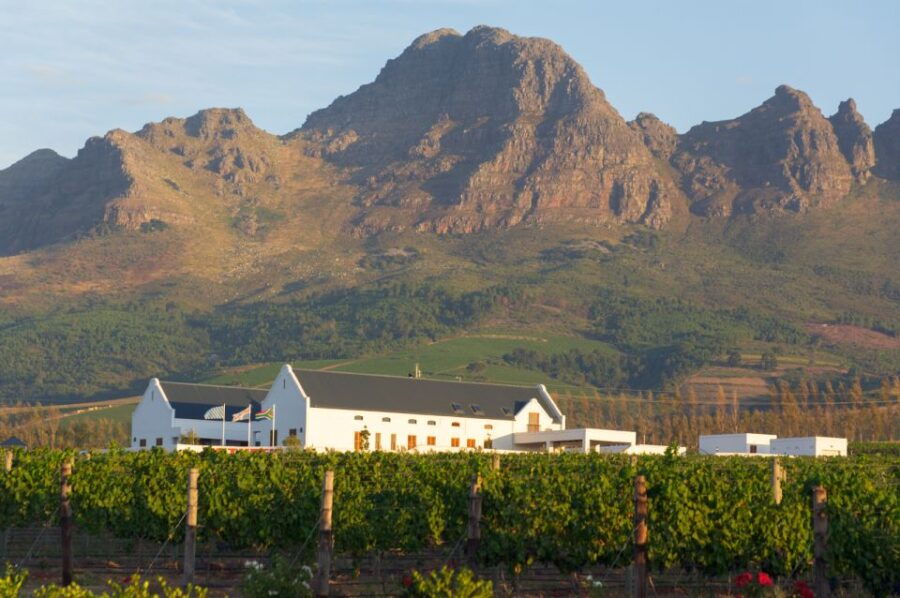 Cape Point Highlights Tour With Wine Tasting in Stellenbosch