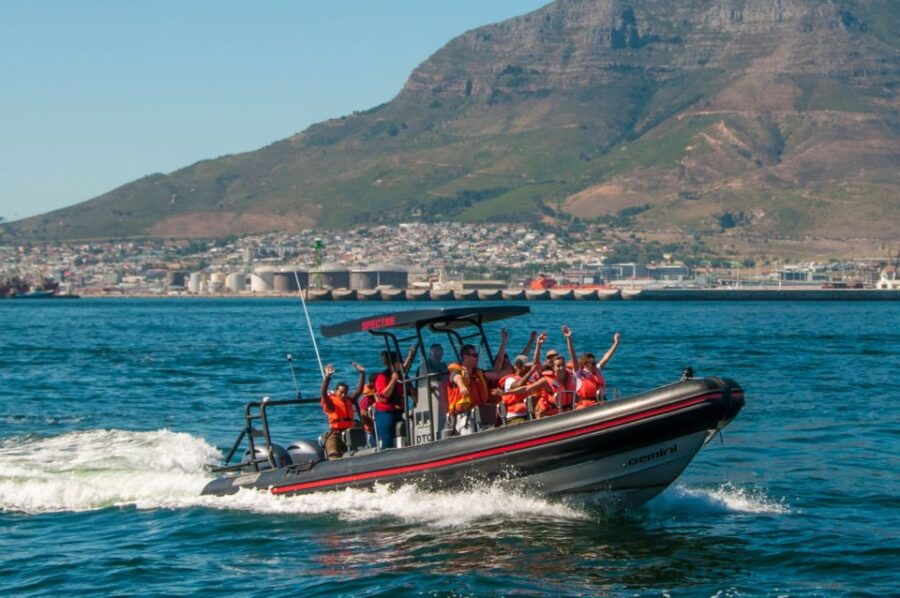 Cape Town: 1-Hour Sunrise Ocean Safari - Highlights