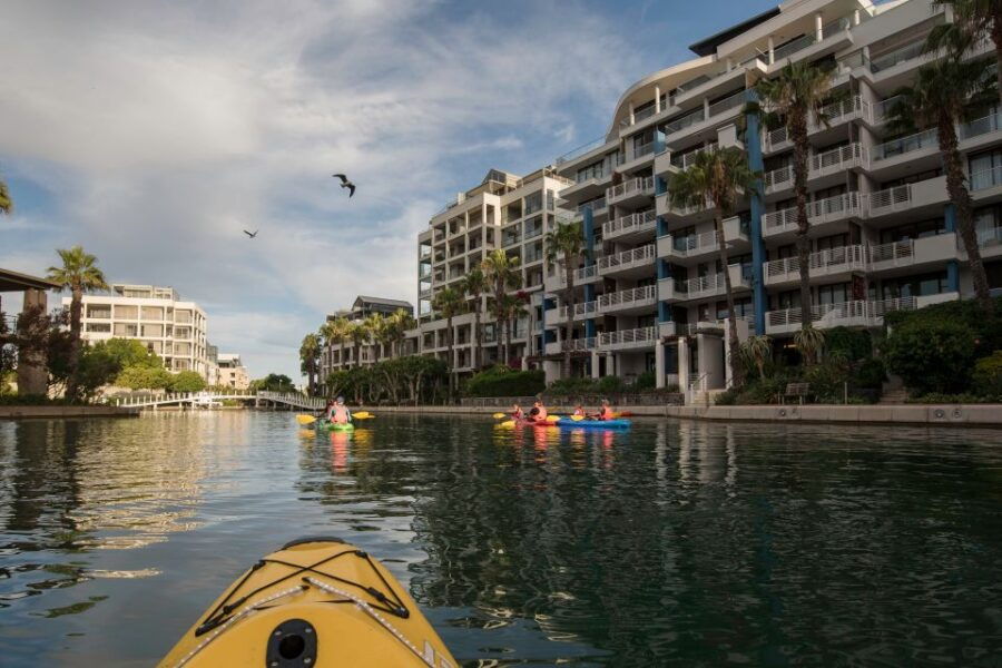 Cape Town: Day or Night Guided Kayak Tour in Battery Park - Experience Highlights