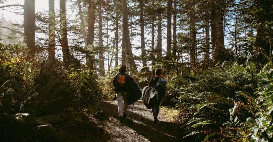Cape Town: Forest Bathing and Silent Walking Meditation