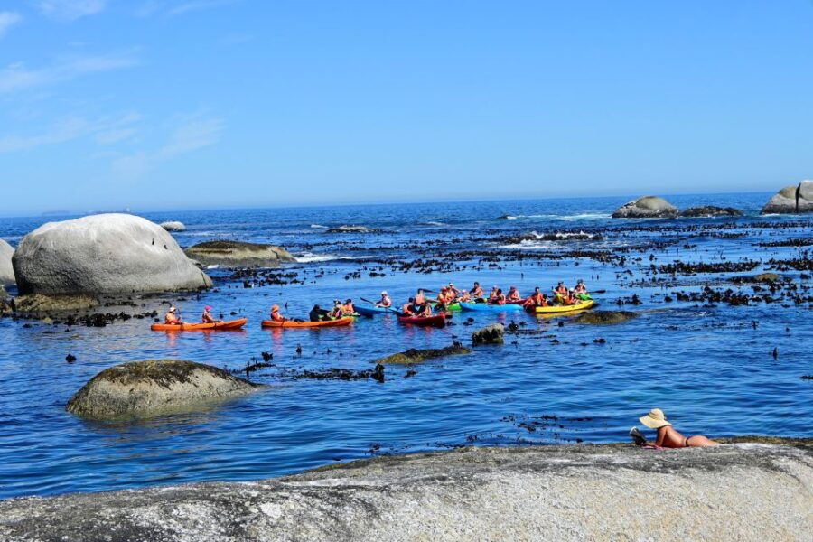 Cape Town: Guided Kayak Tour of Clifton Beaches & The Coast - Included Gear and Services