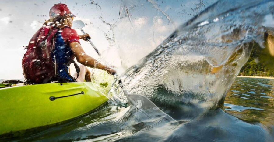 Cape Town: Guided Kayaking in Hout Bay