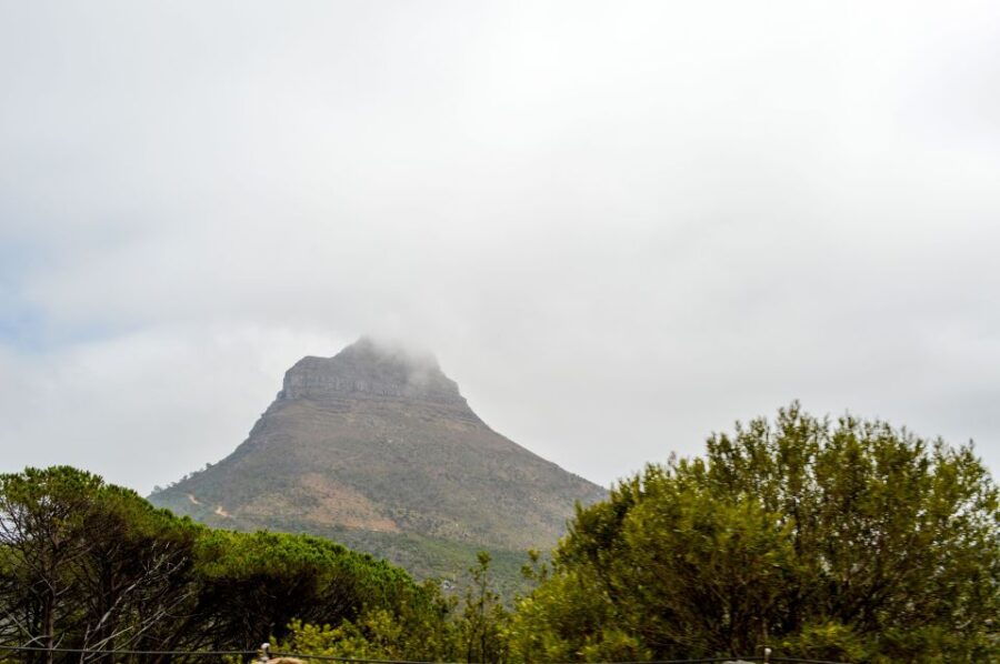 Cape Town: Half-Day City Tour