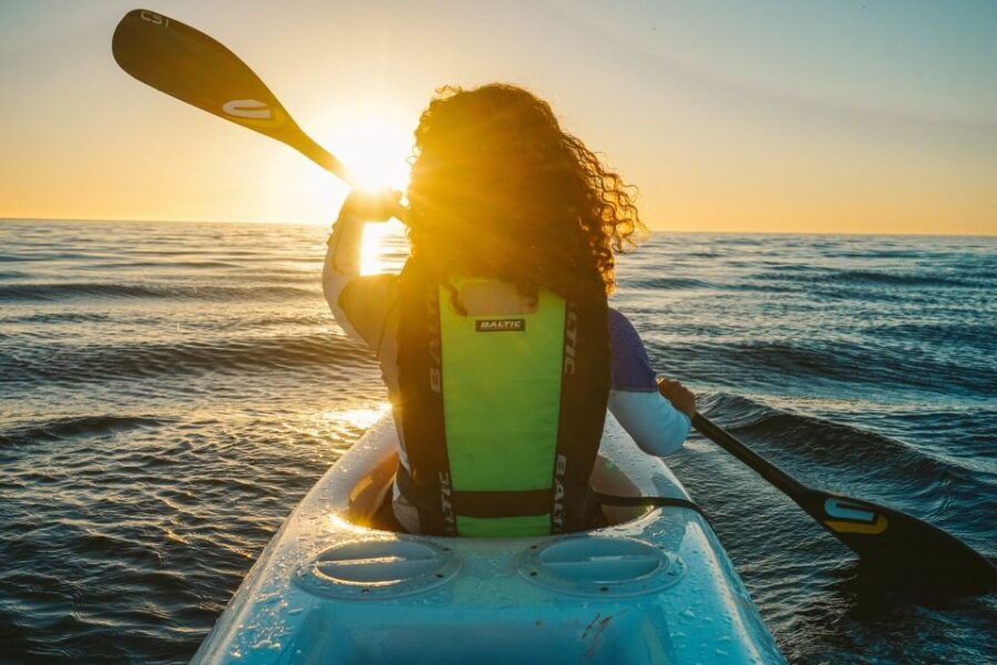 Cape Town: Marine Life Kayak Tour From the V&A Waterfront - Experience Highlights