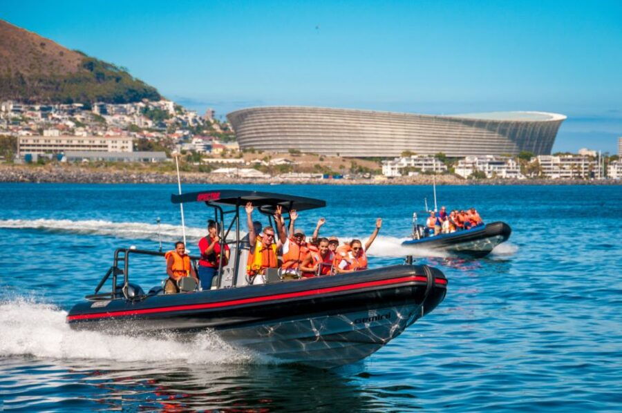 Cape Town Ocean Safari: Speed Boat Adventure in Table Bay