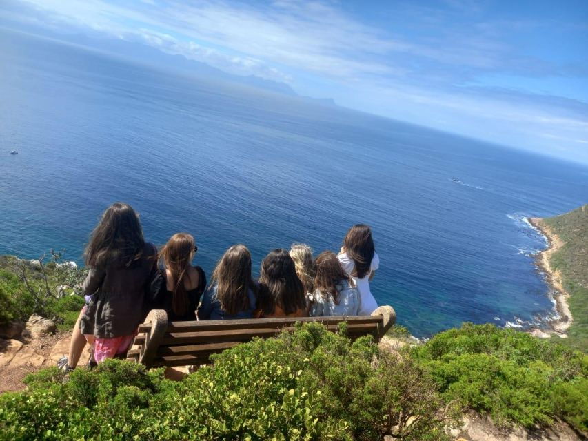 Cape Town: Penguins & Cape of Good Hope Half-Day Shared Tour