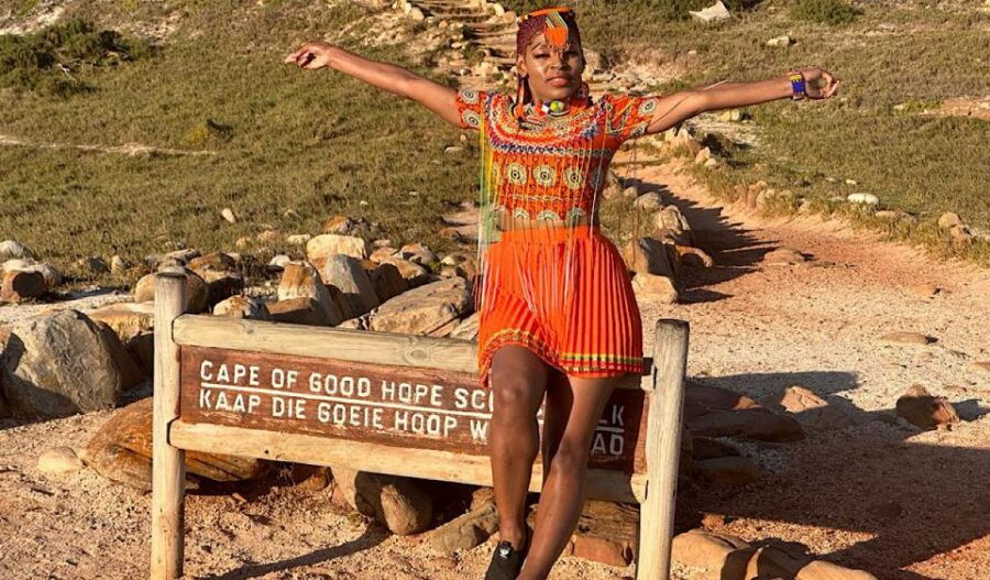 Cape Town: Penguins & Cape of Good Hope Half Day Shared Tour