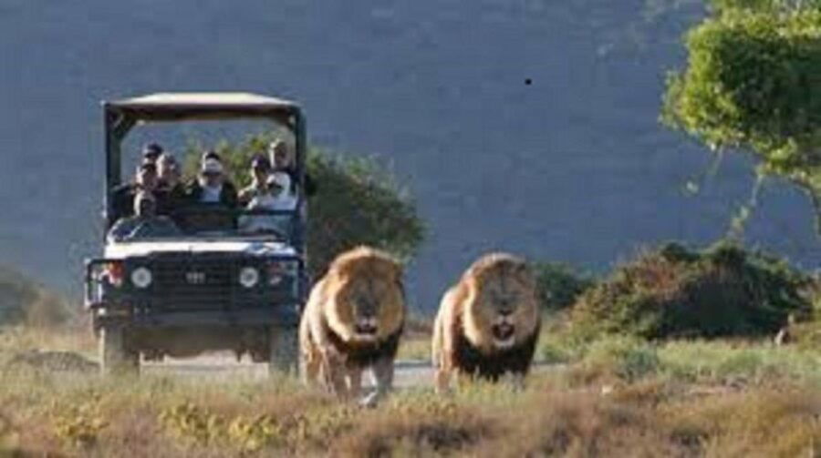 Cape Town Tour With Wine Tasting.Full Day Peninsula Tour.