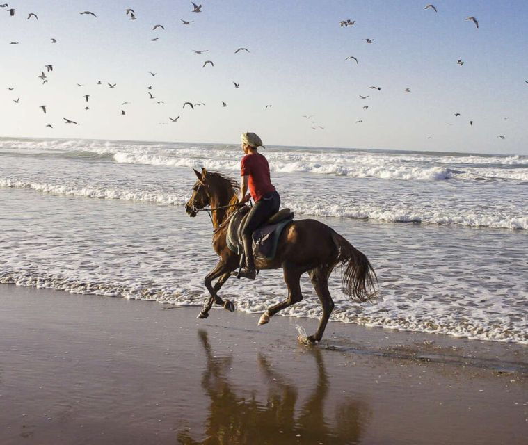 Cartagena: Beach Horseback Riding Tour at Sunset - Booking Details for the Sunset Horseback Riding Tour