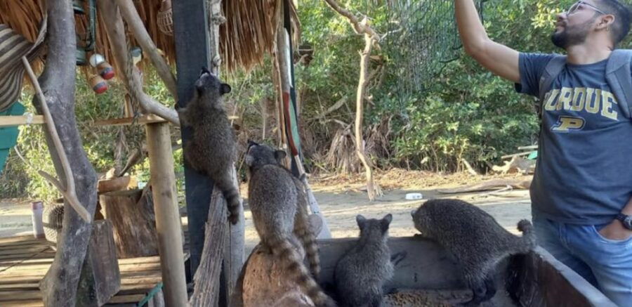Cartagena: Canoe Tour Through Mangroves - Good To Know