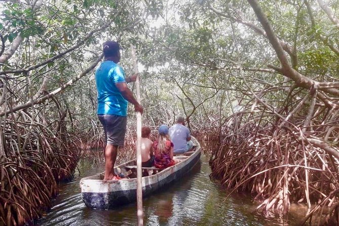 Cartagena Mangrove Tour