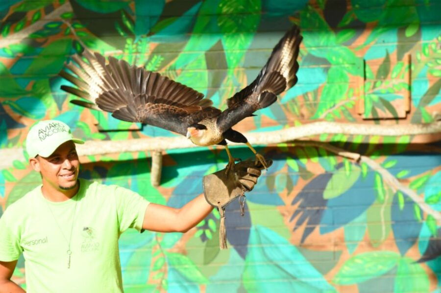 Cartagena: National Aviary of Colombia Entrance Tickets - Booking Information