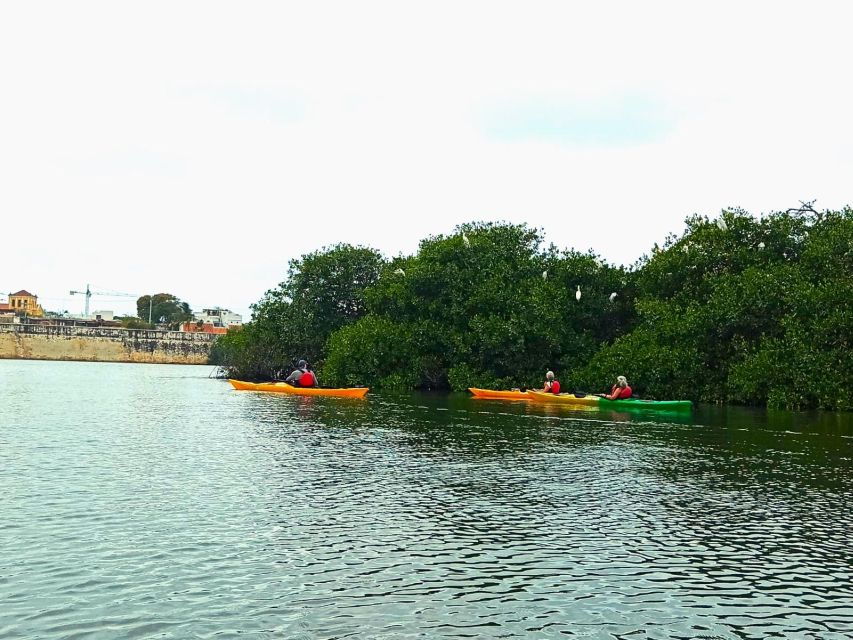 Cartagena: Walled City Kayak Tour - Good To Know