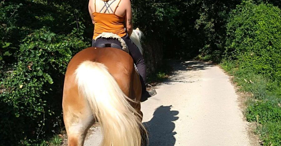 Casentino: Horseback Riding Tour With Verna Sanctuary View - Group Size and Language Options