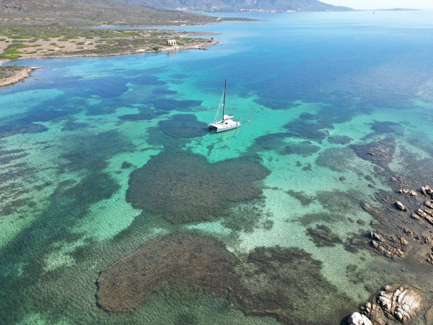Catamaran Tour in the Asinara Island National Park - Tour Highlights