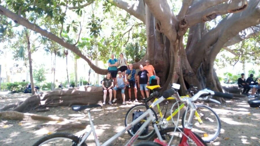 Catania Bike Tour With Tasting Food