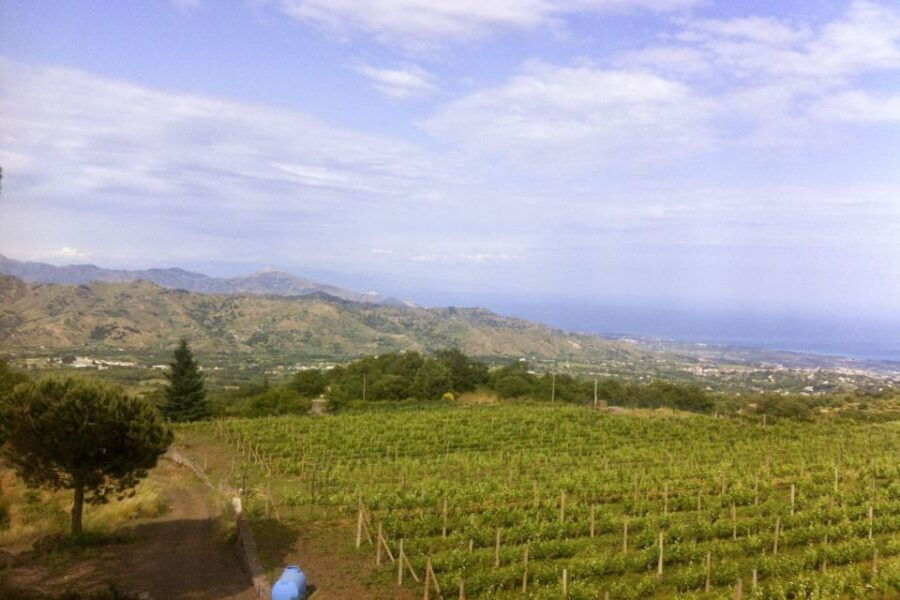Catania: Mt. Etna Private Tour With Food and Wine Tasting